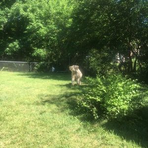 Meet your Posher, Margaret